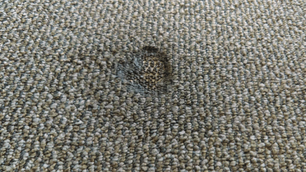Carpet Burns: Cleaning, Repair or Replacement?