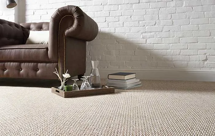 Pet Urine on Carpet: Removing Stains and Persistent Odours